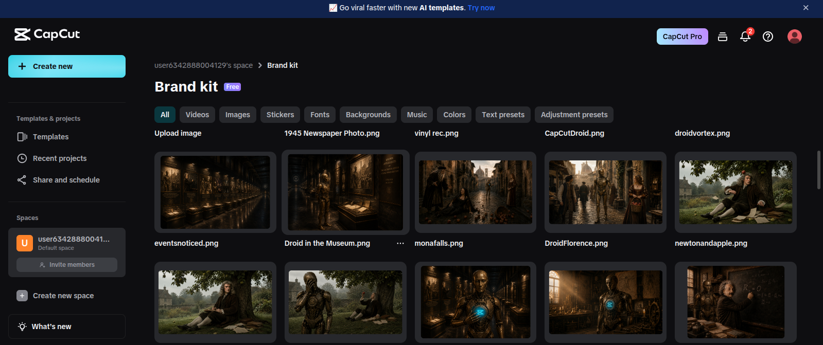 Project asset library — collected source materials